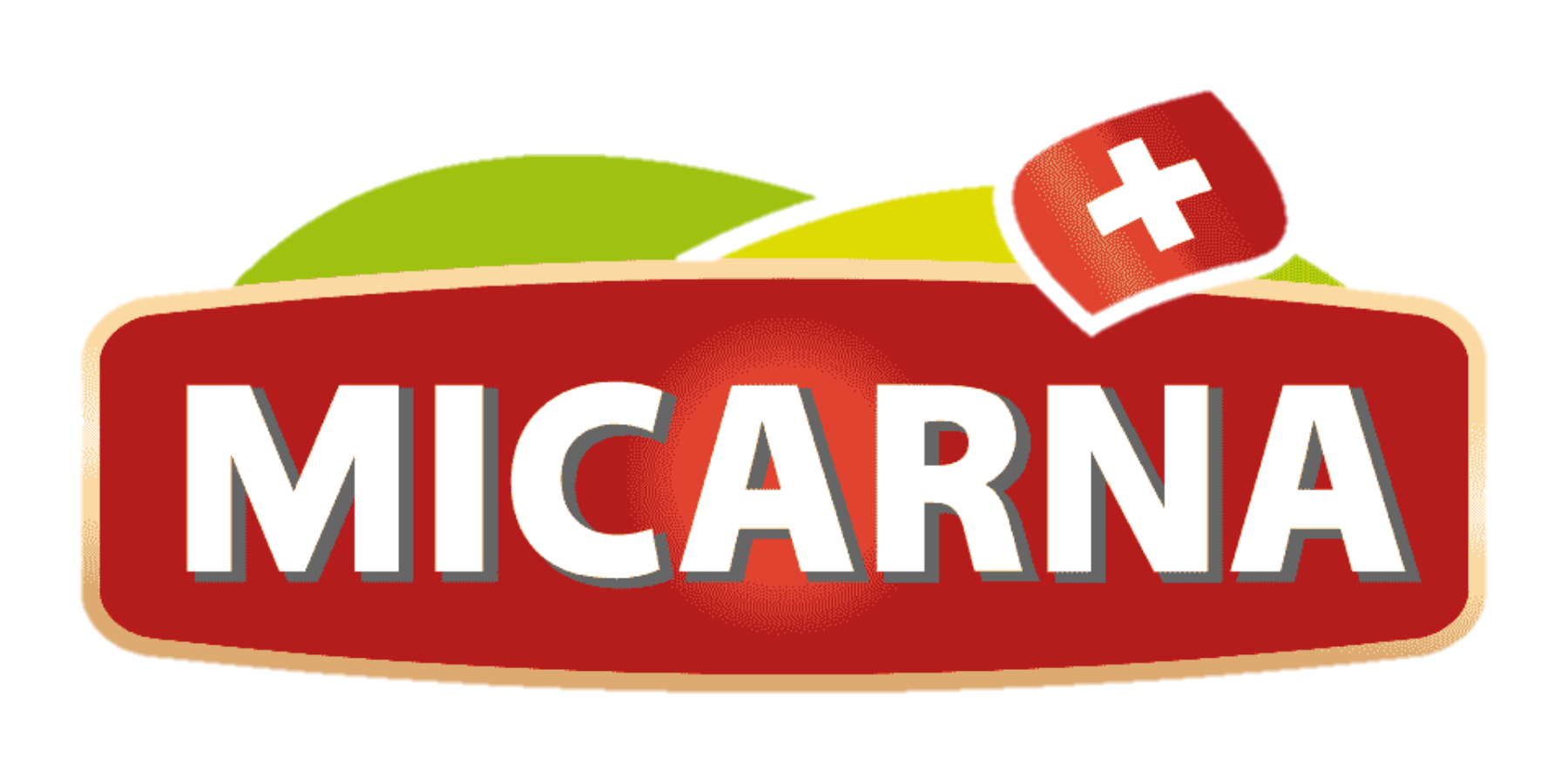 MICARNA